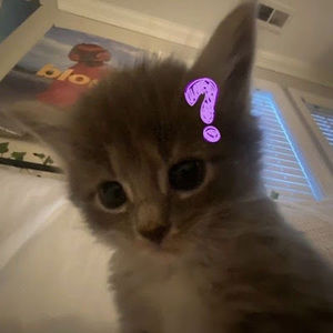 Meet your Posher, Joselin